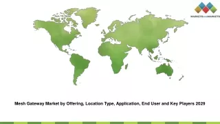mesh gateway market by offering location type