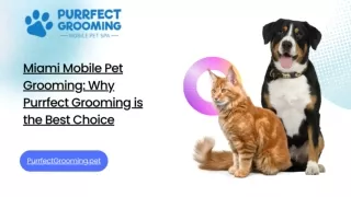 Miami Mobile Pet Grooming: Why Purrfect Grooming is the Best Choice