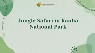 Jungle Safari in Kanha National Park