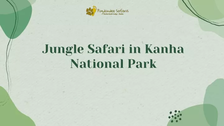 jungle safari in kanha national park