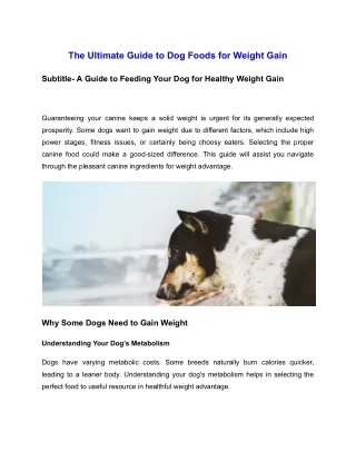 The Ultimate Guide to Dog Foods for Weight Gain