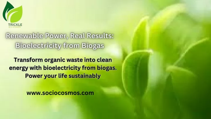 transform organic waste into clean energy with