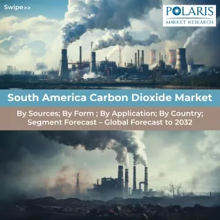 South America Carbon Dioxide Market