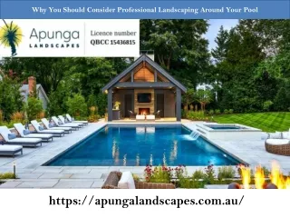Why You Should Consider Professional Landscaping Around Your Pool