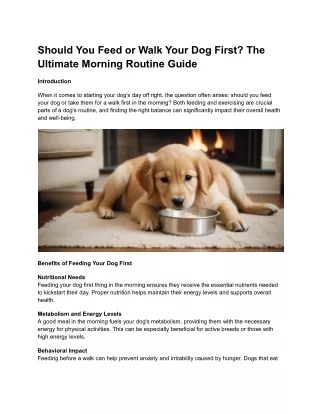 Should You Feed or Walk Your Dog First?