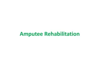 amputee rehabilitation