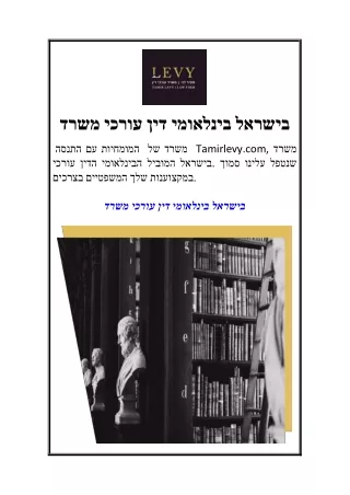 משרד עורכי דין בינלאומי בישראל