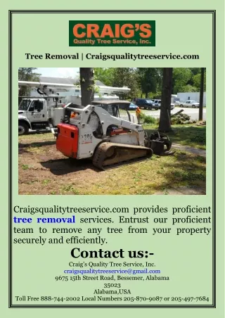Tree Removal  Craigsqualitytreeservice.com