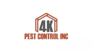 Pest Control Services in Newmarket