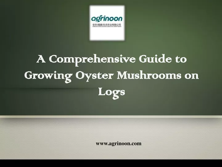 a comprehensive guide to growing oyster mushrooms