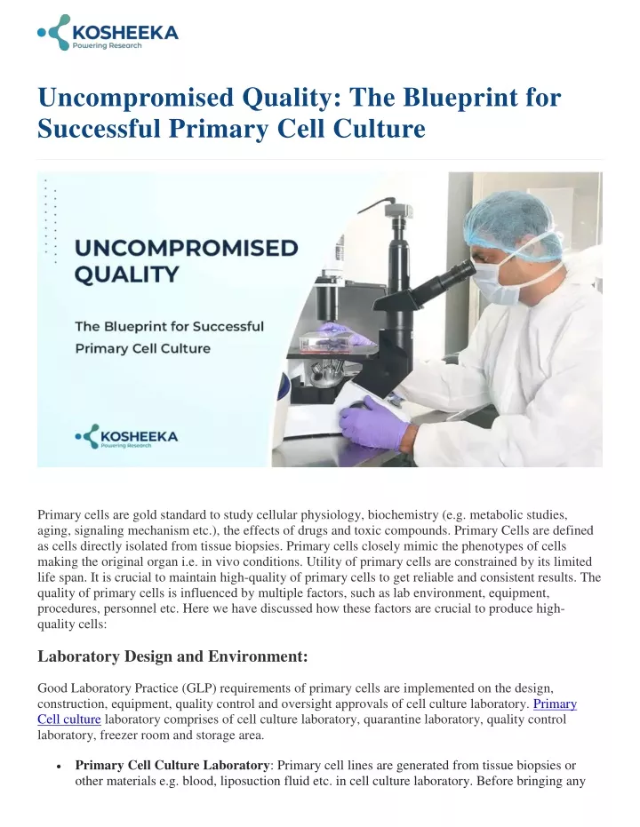 uncompromised quality the blueprint