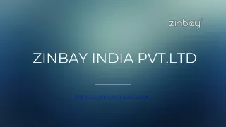 zinbay india pvt ltd
