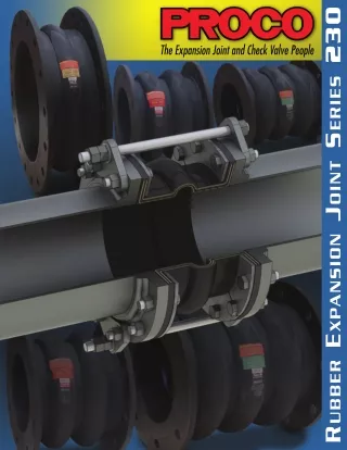 230Brochure31324MR