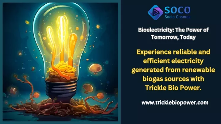 bioelectricity the power of tomorrow today