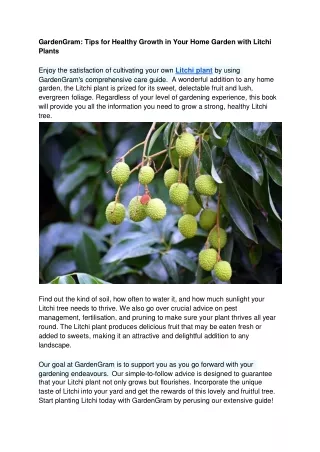 GardenGram_ Tips for Healthy Growth in Your Home Garden with Litchi Plants