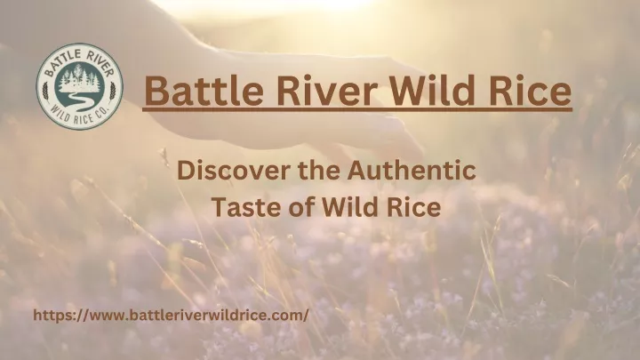 battle river wild rice