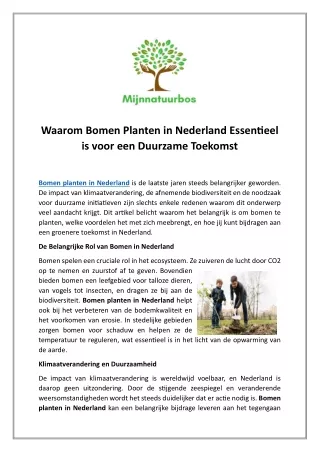 Waarom Bomen Planten in Nederland Essentieel is voor een Duurzame Toekomst