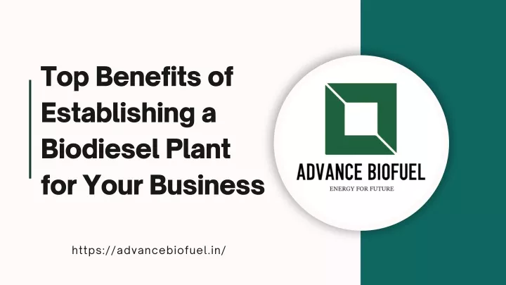 top benefits of establishing a biodiesel plant