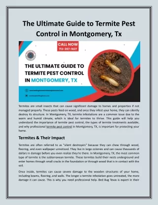 The Ultimate Guide to Termite Pest Control in Montgomery, Tx