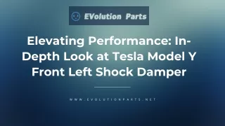 Elevating Performance: In-Depth Look at Tesla Model Y Front Left Shock Damper