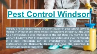 Pest Control Windsor