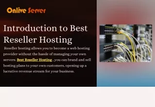 Best Reseller Hosting Plans for Maximum Revenue and Reliable Performance