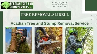 Tree Removal Slidell |   Acadian Tree and Stump Removal Service