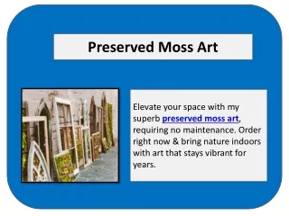 preserved moss art