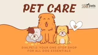 Dialpets Your One-Stop Shop for All Dog Essentials