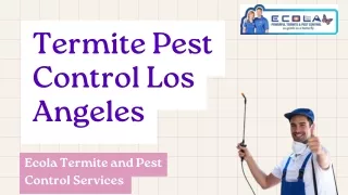 Termite Pest Control Los Angeles