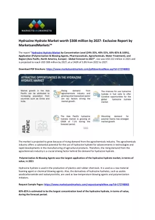 hydrazine hydrate market worth 308 million