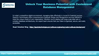 unlock your business potential with customized database management