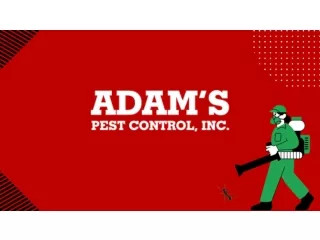 Looking For Professional Pest Control in Rochester MN