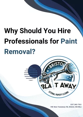 Why Should You Hire Professionals for Paint Removal