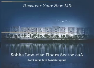 discover your new life