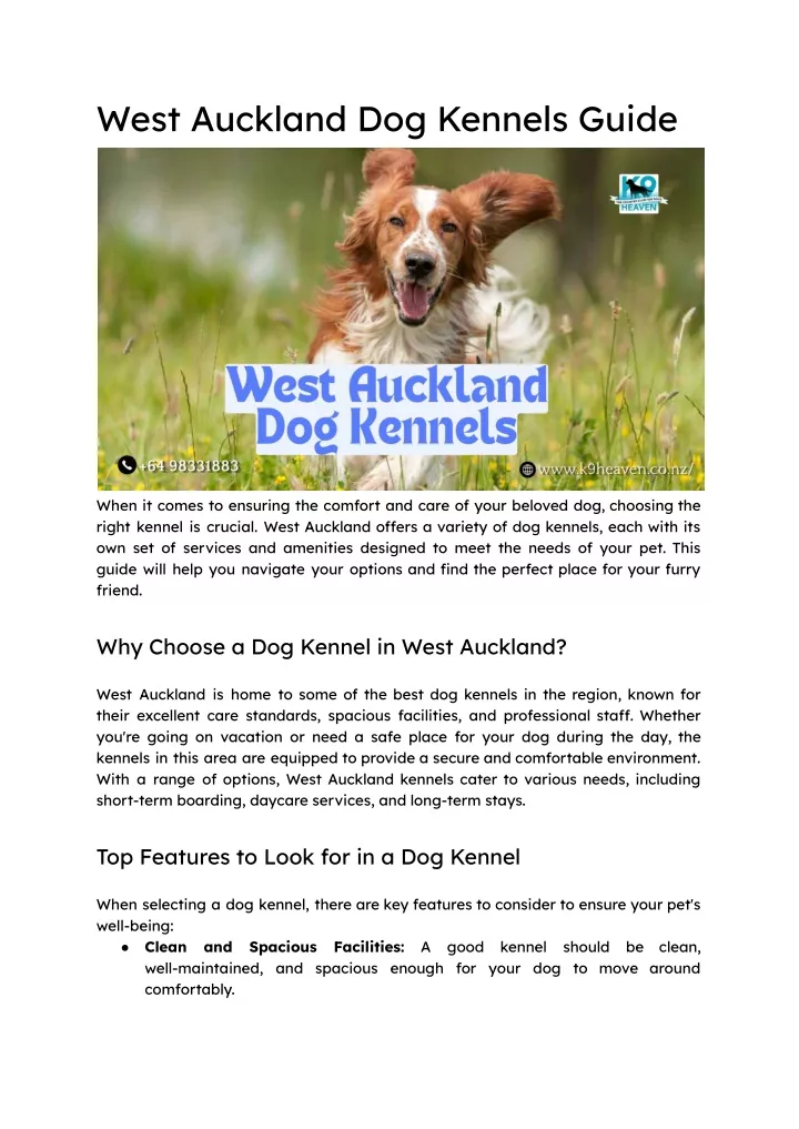 west auckland dog kennels guide