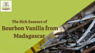 The Rich Essence of Bourbon Vanilla from Madagascar