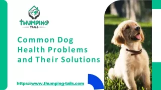 Common Dog Health Problems and Their Solutions