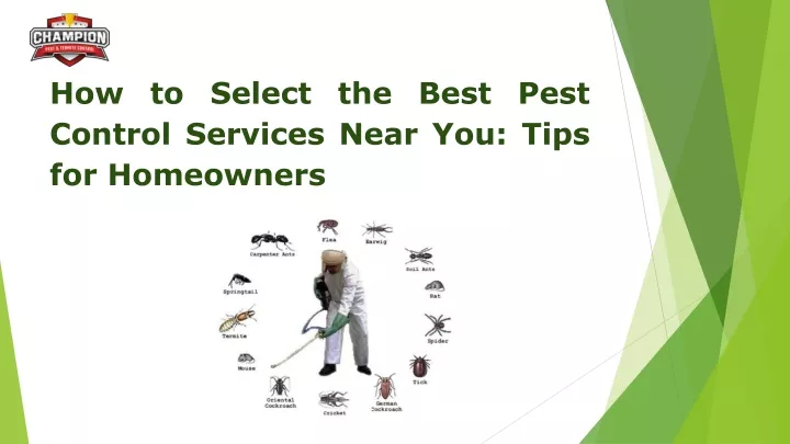 how to select the best pest control services near