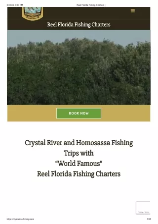 Crystal River Fishing Trip