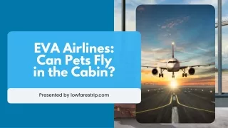 What Are Costs for Carrying Pets on EVA Airlines?