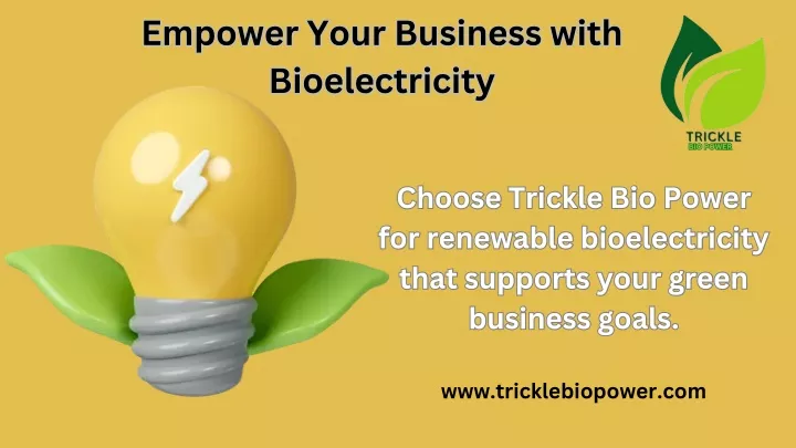 empower your business with bioelectricity