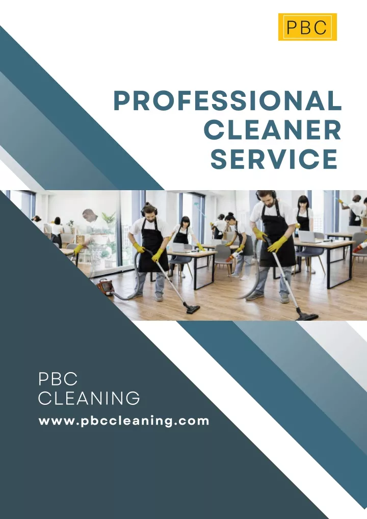 professional cleaner service