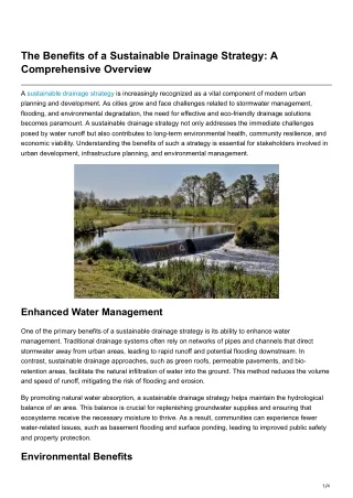 The Benefits of a Sustainable Drainage Strategy A Comprehensive Overview