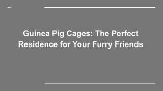 Guinea Pig Cages The Perfect Residence for Your Furry Friends