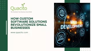 How Custom Software Solutions Revolutionize Small Businesses