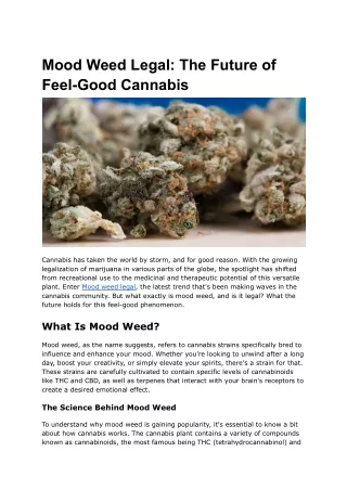 Mood Weed Legal_ The Future of Feel-Good Cannabis