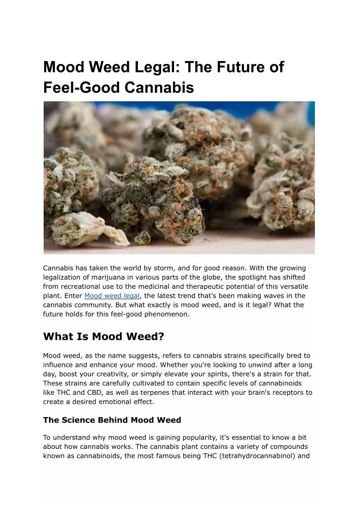 mood weed legal the future of feel good cannabis