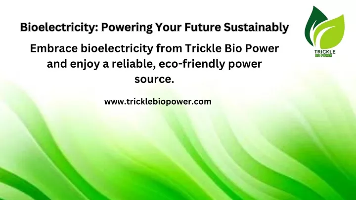 bioelectricity powering your future sustainably