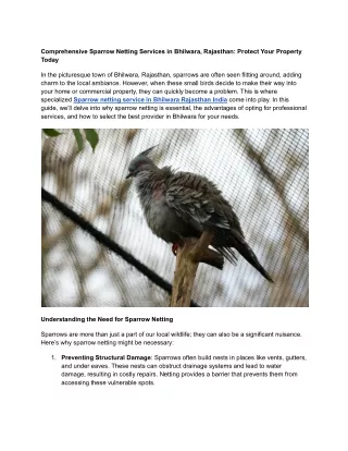 Comprehensive Sparrow Netting Services in Bhilwara, Rajasthan_ Protect Your Property Today (1)